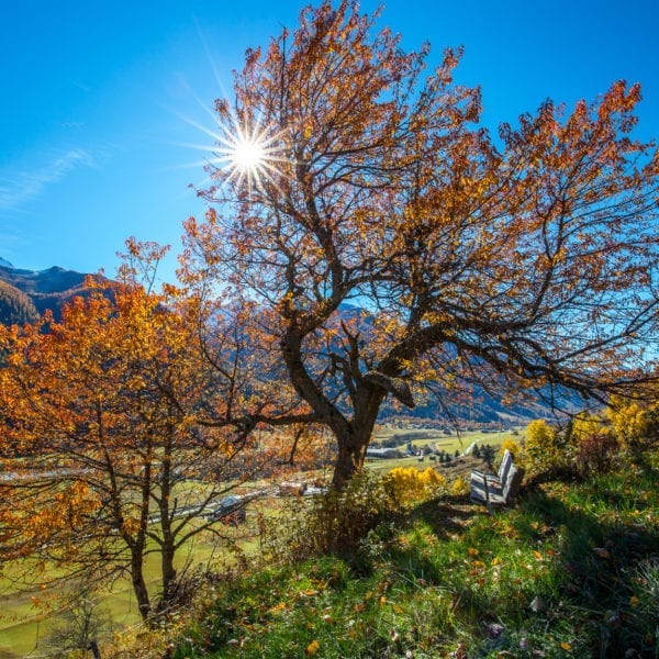 Herbst auf dem Gommer Höhenweg 17